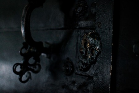 Skull - Emily Photogaphy